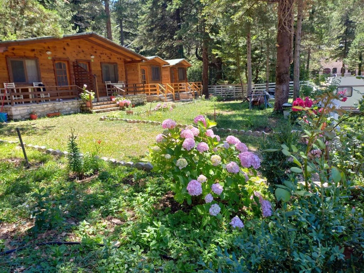 Bujtina Uji I Panjes, Log Cabins Dukat Εξωτερικό φωτογραφία