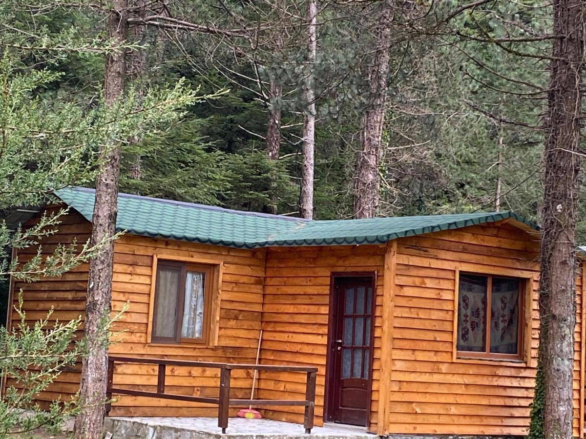 Bujtina Uji I Panjes, Log Cabins Dukat Εξωτερικό φωτογραφία
