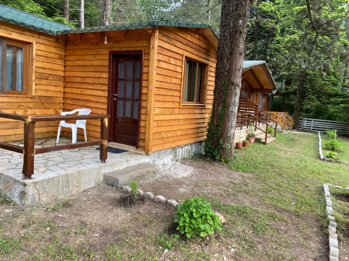 Bujtina Uji I Panjes, Log Cabins Dukat Εξωτερικό φωτογραφία