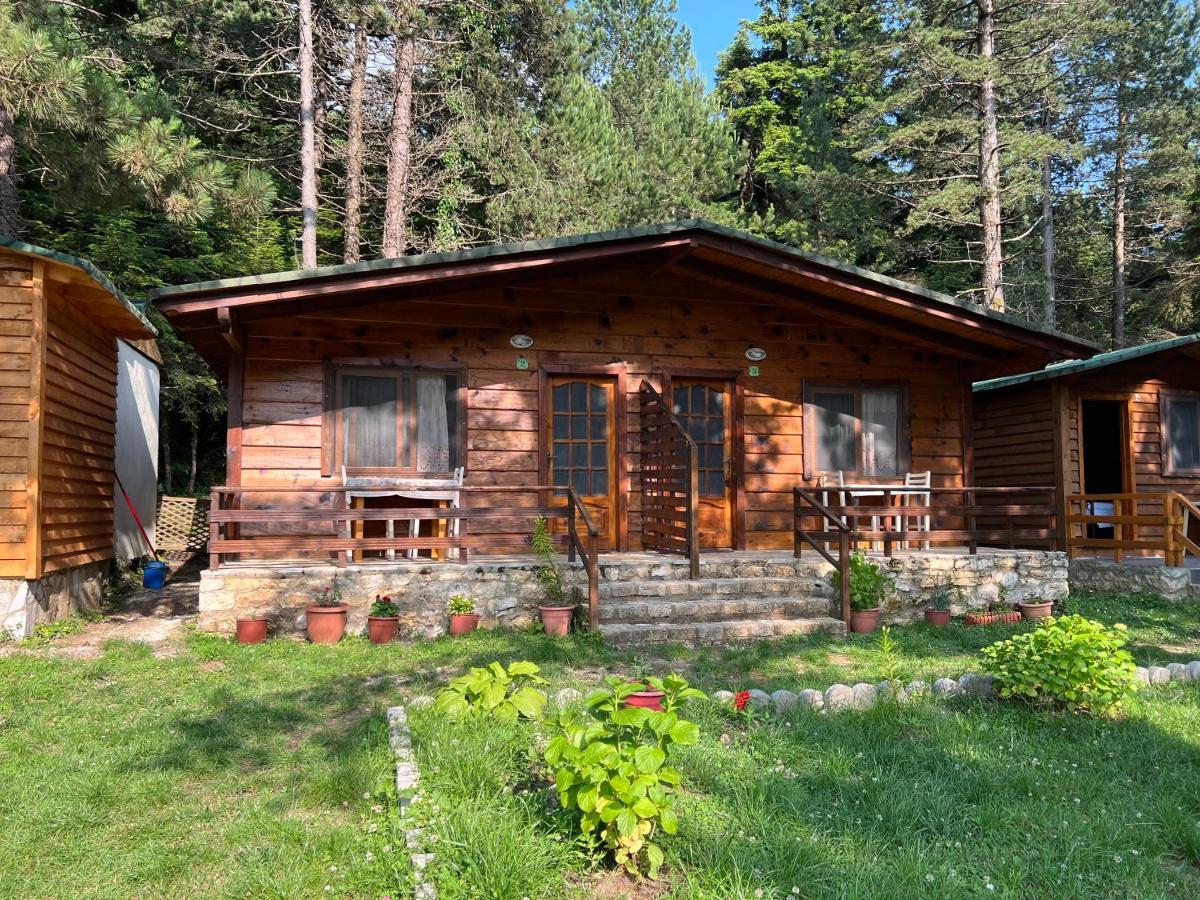 Bujtina Uji I Panjes, Log Cabins Dukat Εξωτερικό φωτογραφία